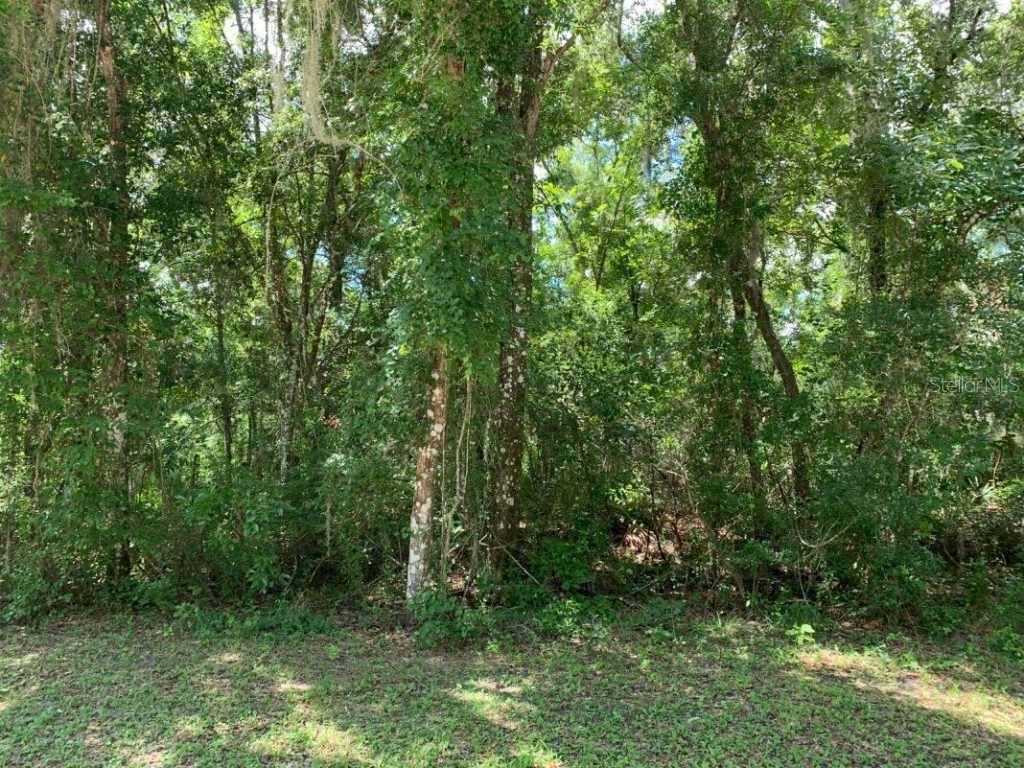 7335 Packingham Drive Webster FL 33597 G5084199 image1