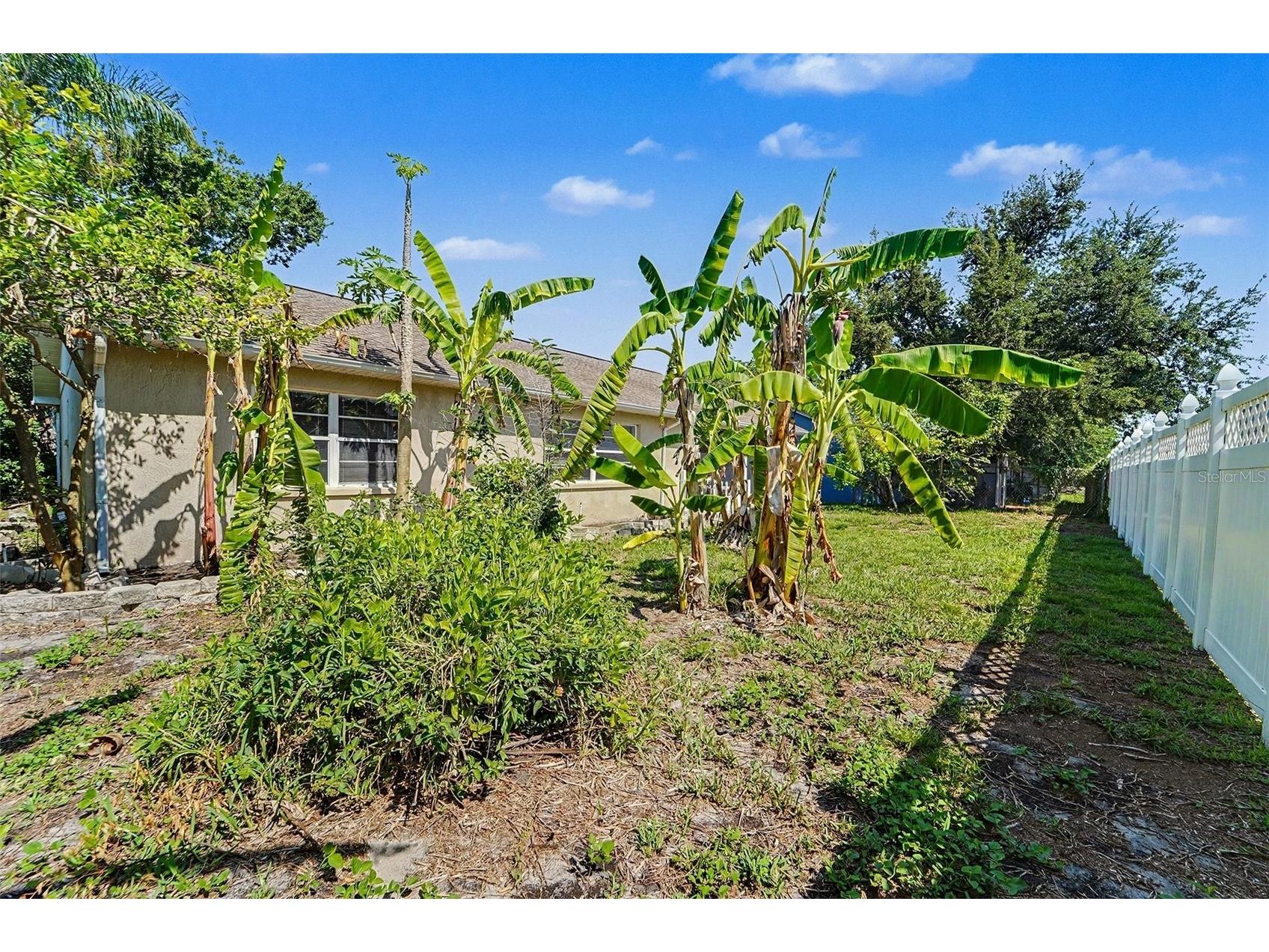 7336 Ashmore Drive New Port Richey FL 34653 O6409875 image2