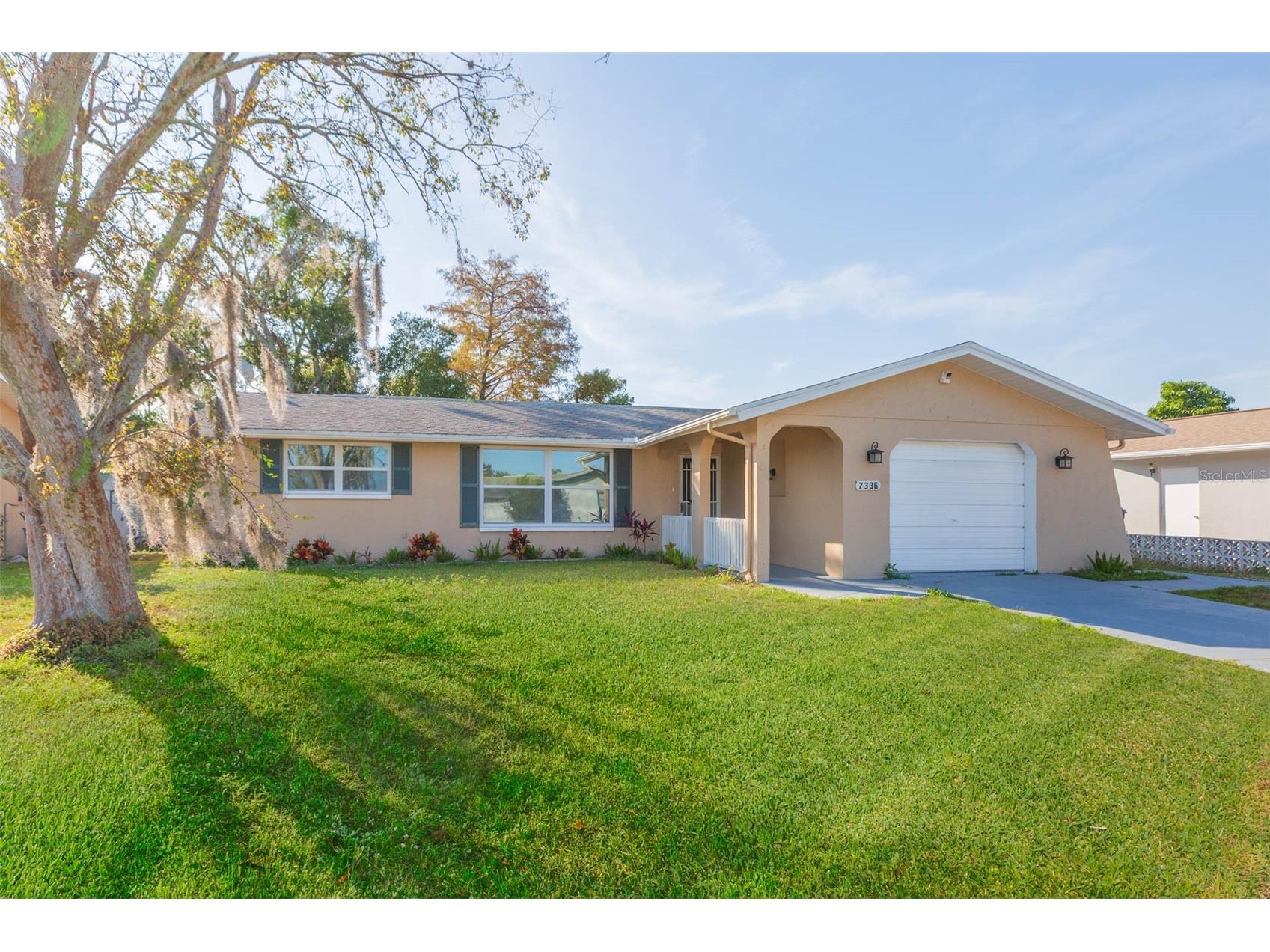 7336 Cherry Laurel Drive Port Richey FL 34668 - BASS FISHING CREEK TB8473485 image2