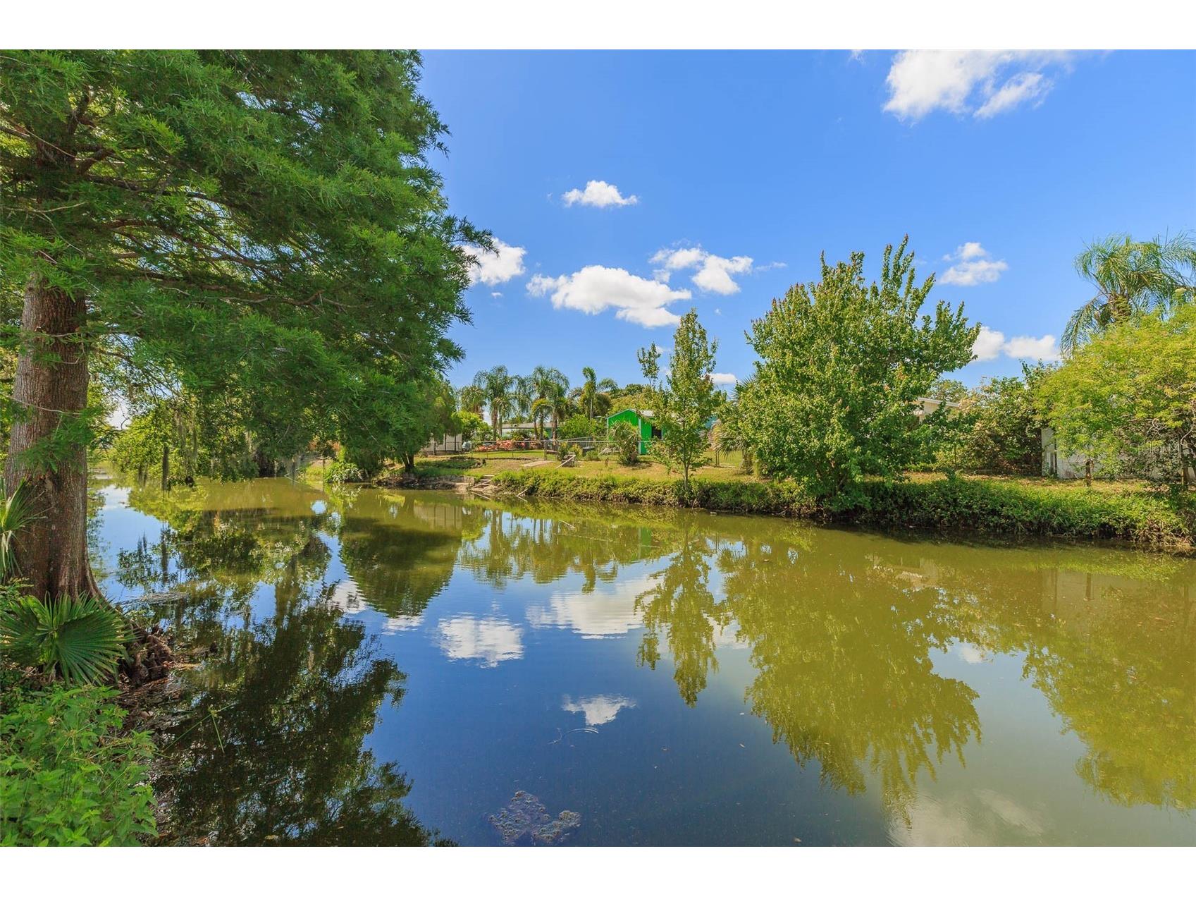 7336 Cherry Laurel Drive Port Richey FL 34668 - BASS FISHING CREEK TB8473485 image3
