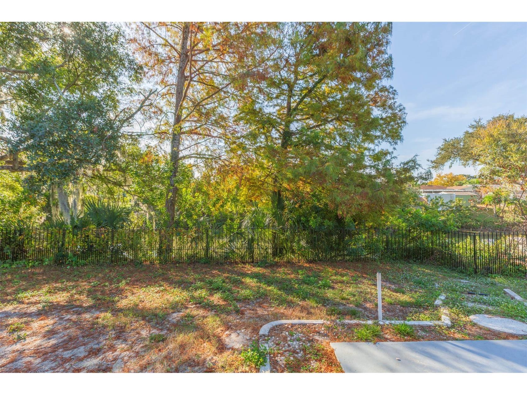 7336 Cherry Laurel Drive Port Richey FL 34668 - BASS FISHING CREEK TB8473485 image30