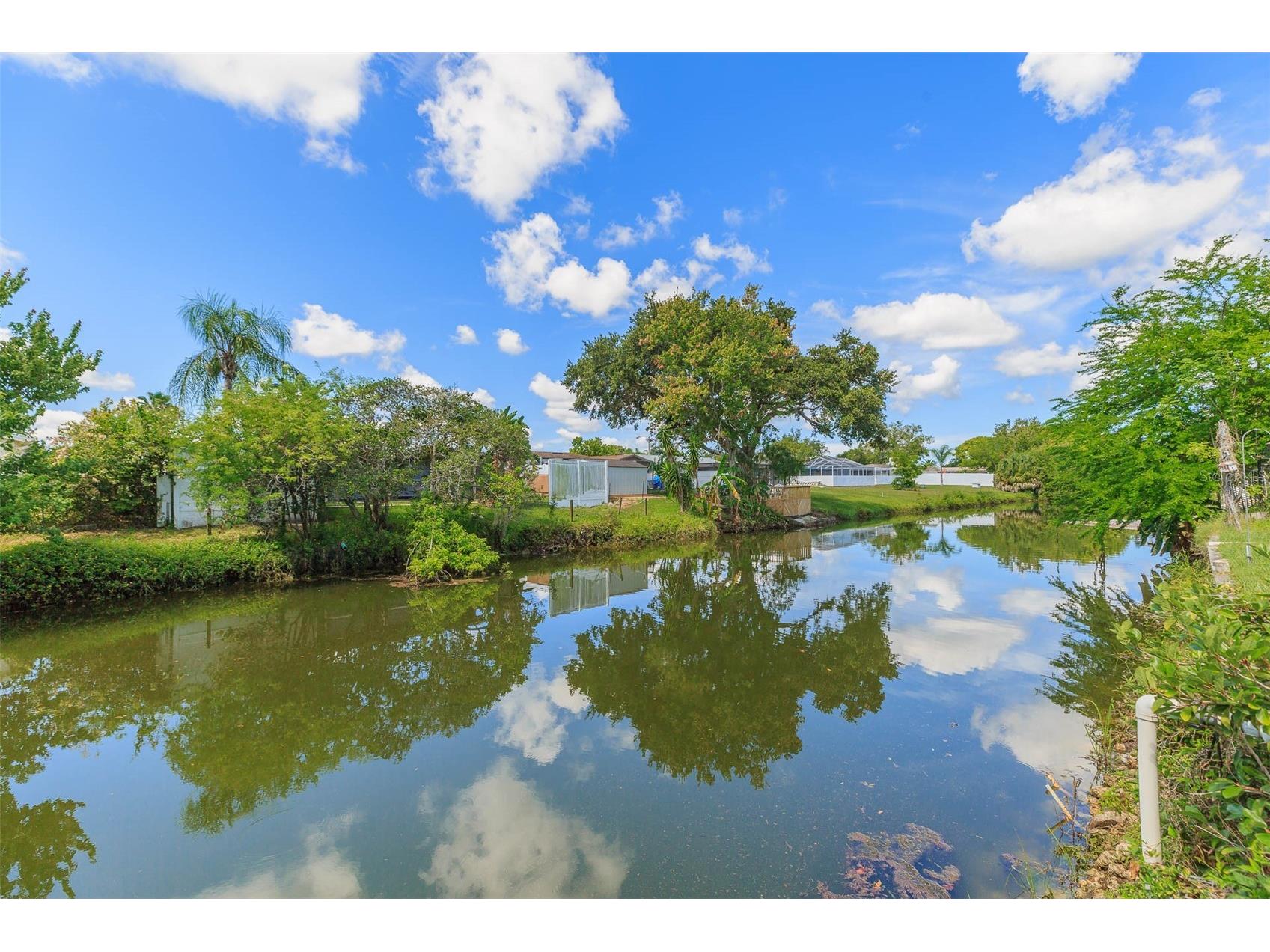 7336 Cherry Laurel Drive Port Richey FL 34668 - BASS FISHING CREEK TB8473485 image34