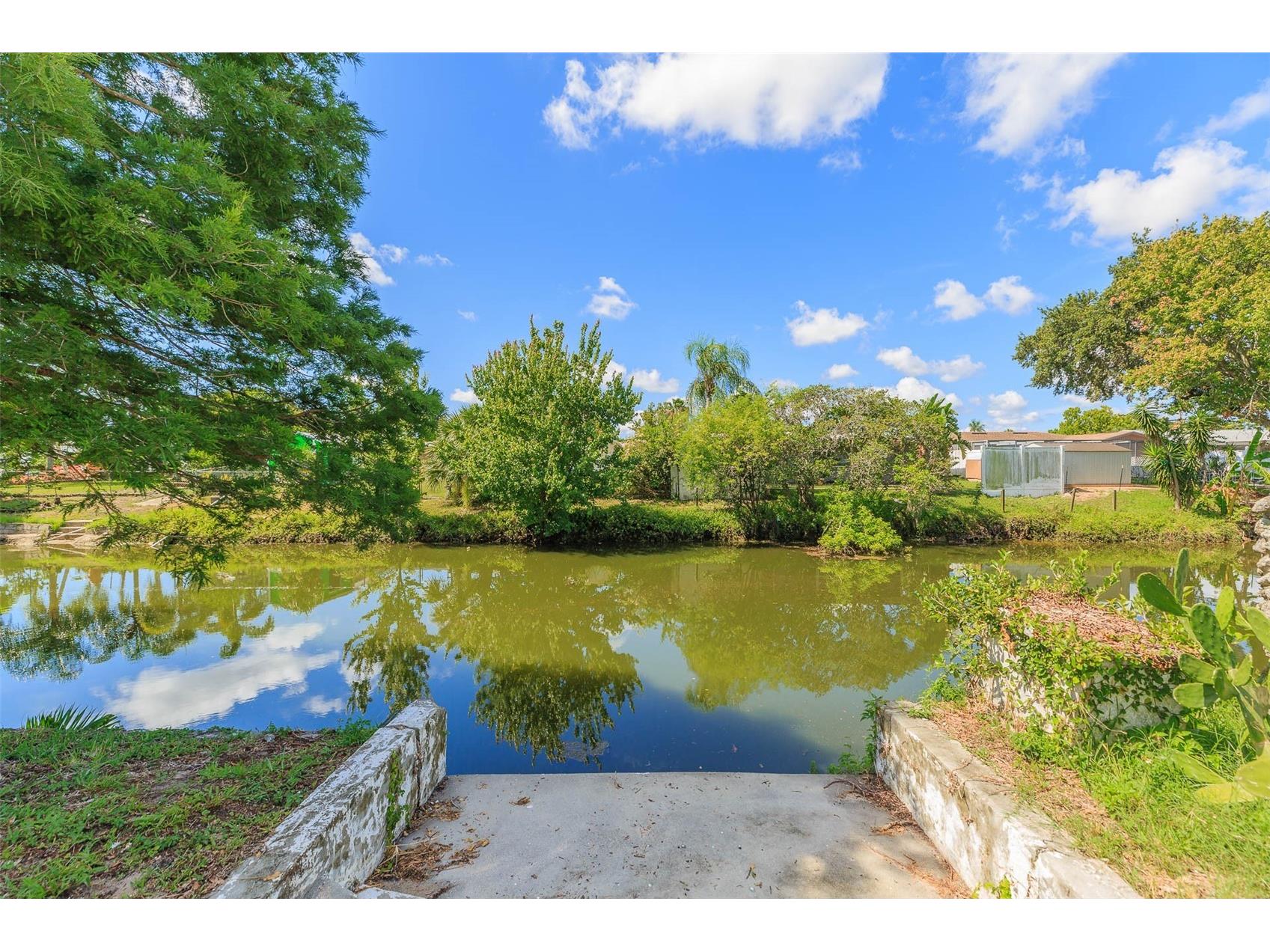 7336 Cherry Laurel Drive Port Richey FL 34668 - BASS FISHING CREEK TB8473485 image35