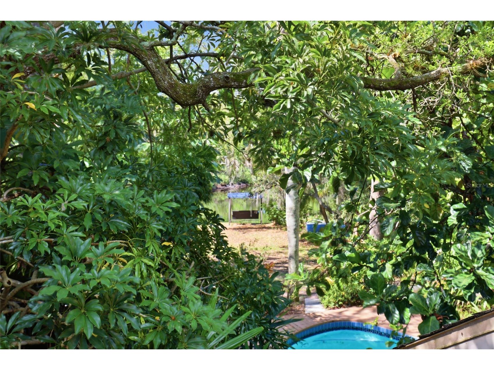 7336 Curlew Street Sarasota FL 34241 A4686587 image23
