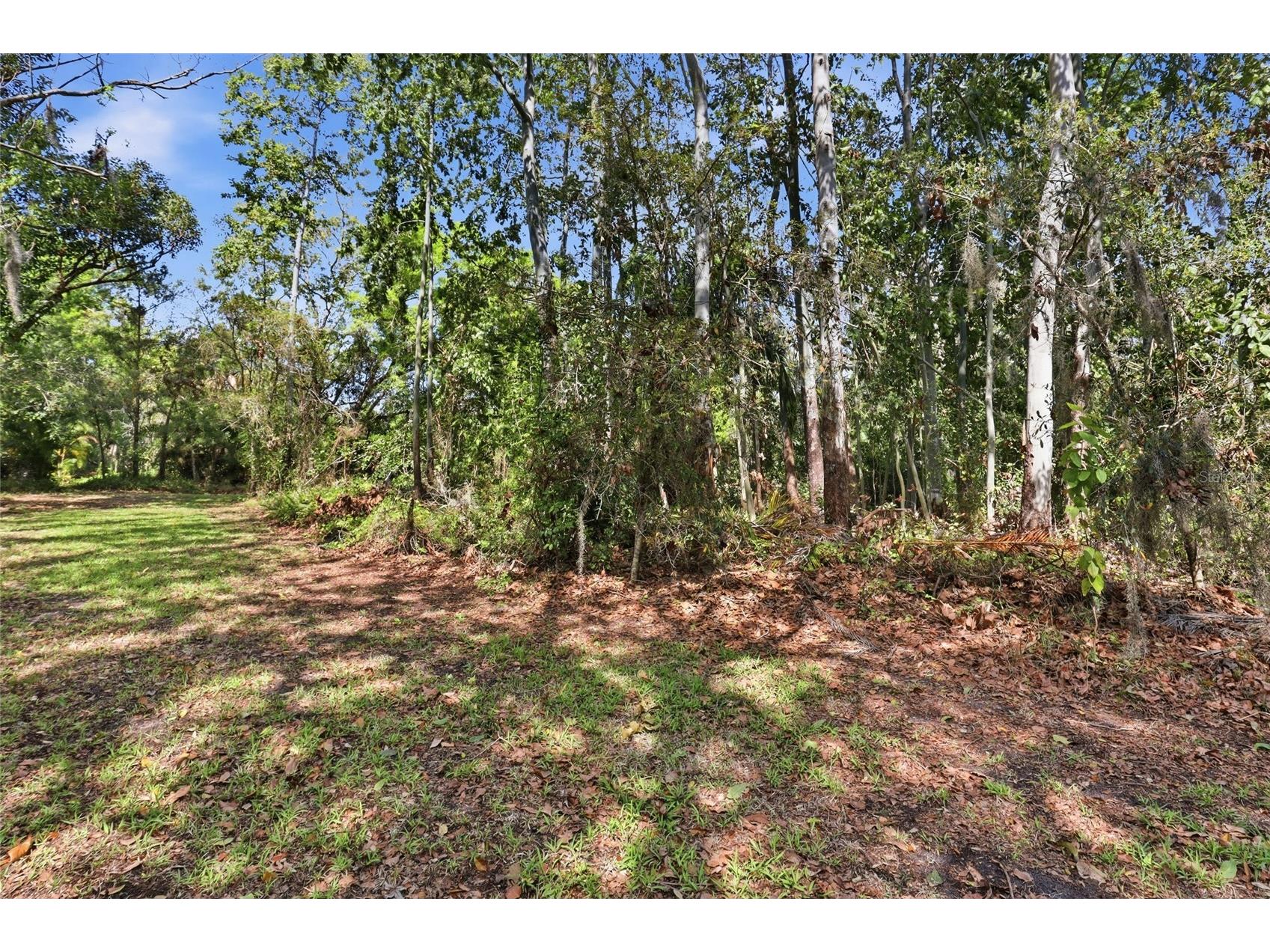 7336 Curlew Street Sarasota FL 34241 A4686587 image37
