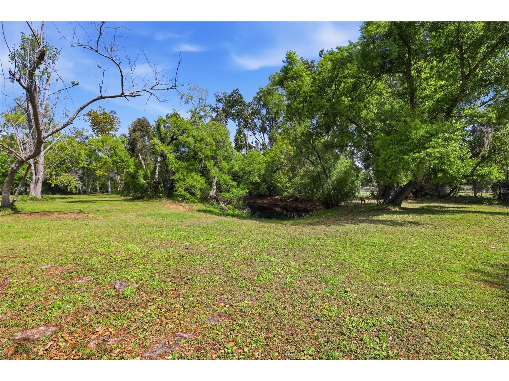 7336 Curlew Street Sarasota FL 34241 A4686788 image10