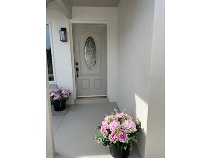 7336 Ivory Terrace New Port Richey FL 34655 W7873853 image2