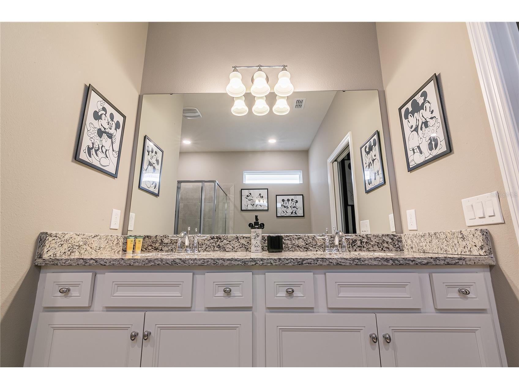 7336 Oakmoss Loop Davenport FL 33837 O6388379 image88