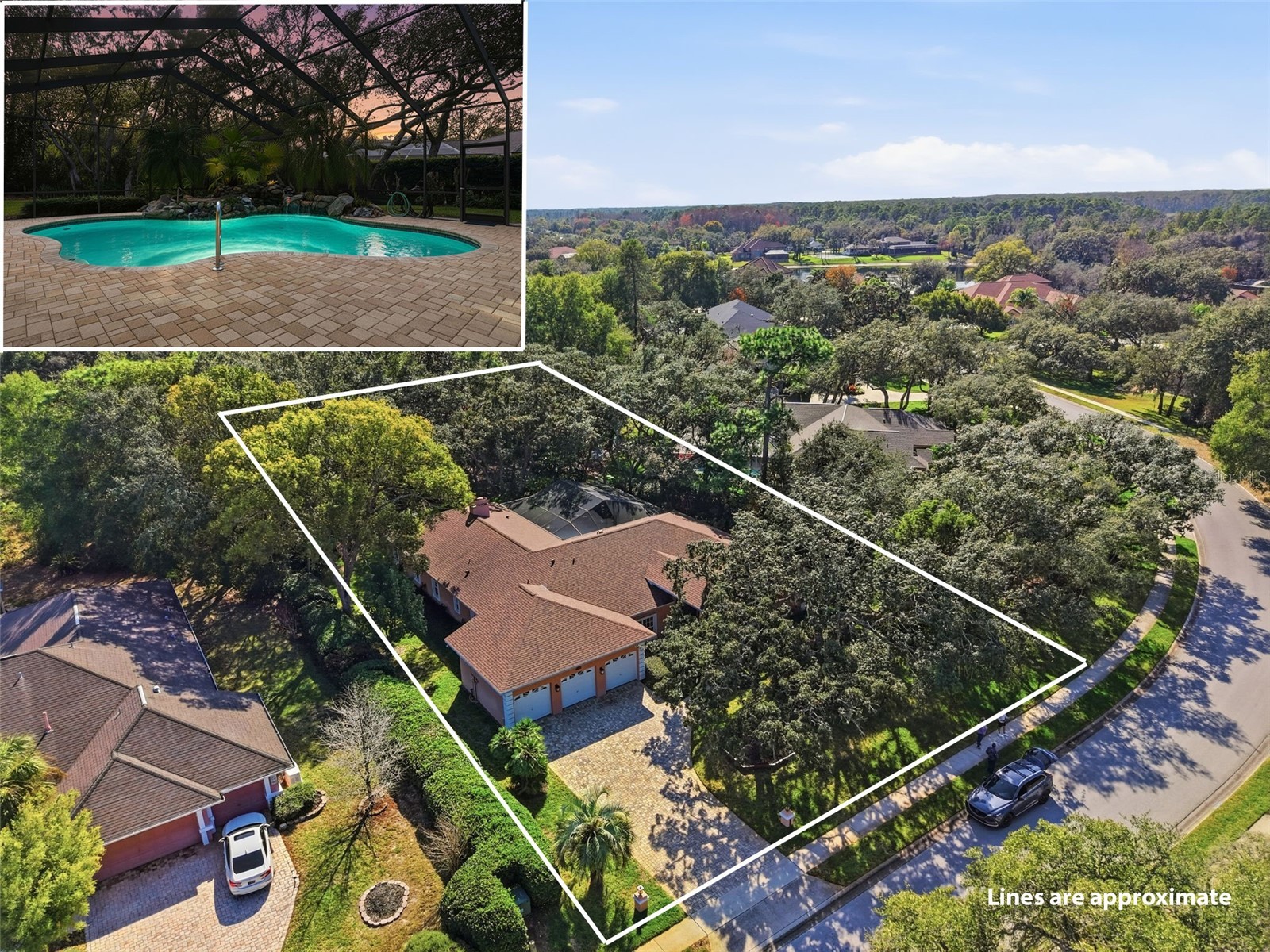 7336 Royal Oak Drive Spring Hill FL 34607 W7881915 image1