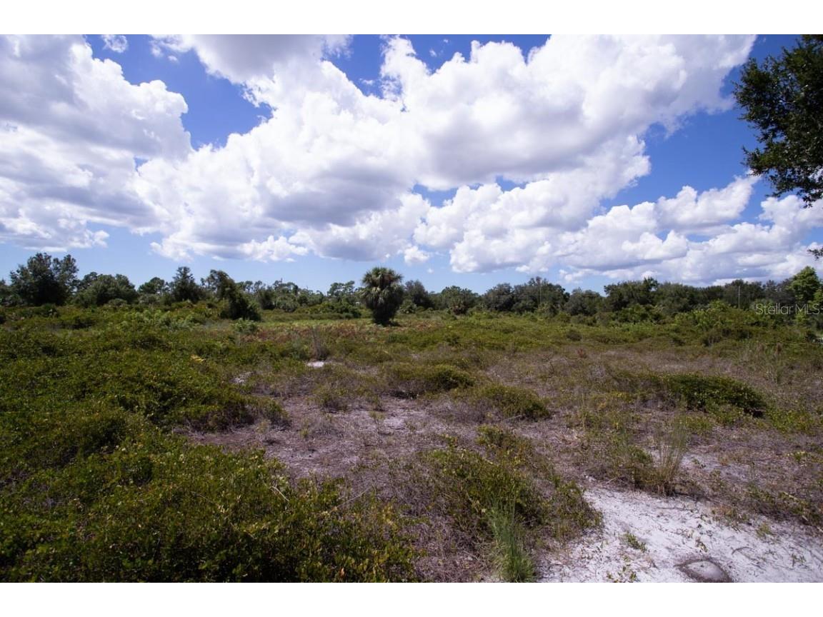 7336 San Pedro Circle Port Charlotte FL 33981 TB8427103 image4