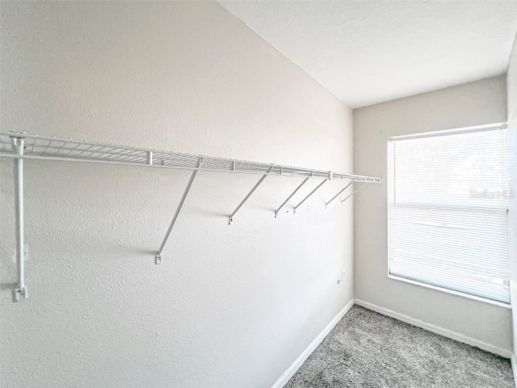 7337 Hunters Greene Circle Lakeland FL 33810 L4953519 image14