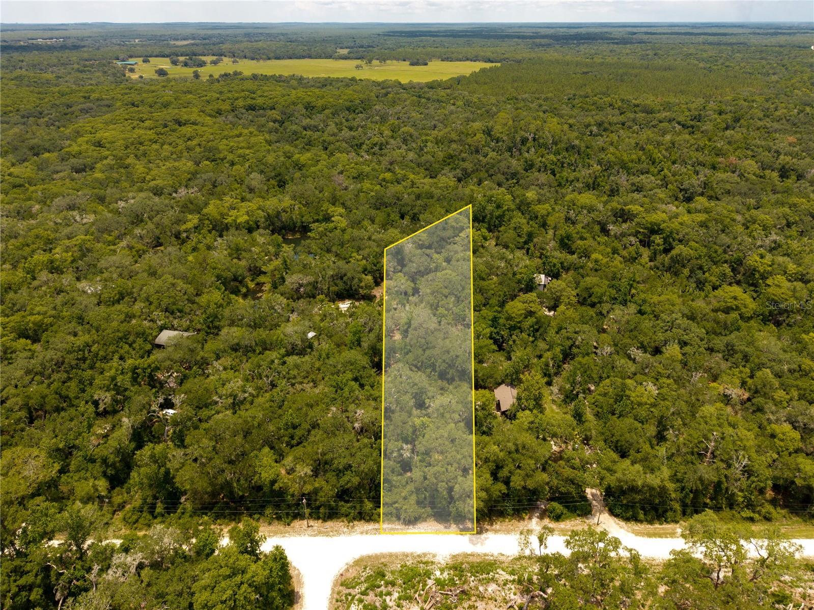 7337 Riverview Drive Webster FL 33597 W7886639 image1