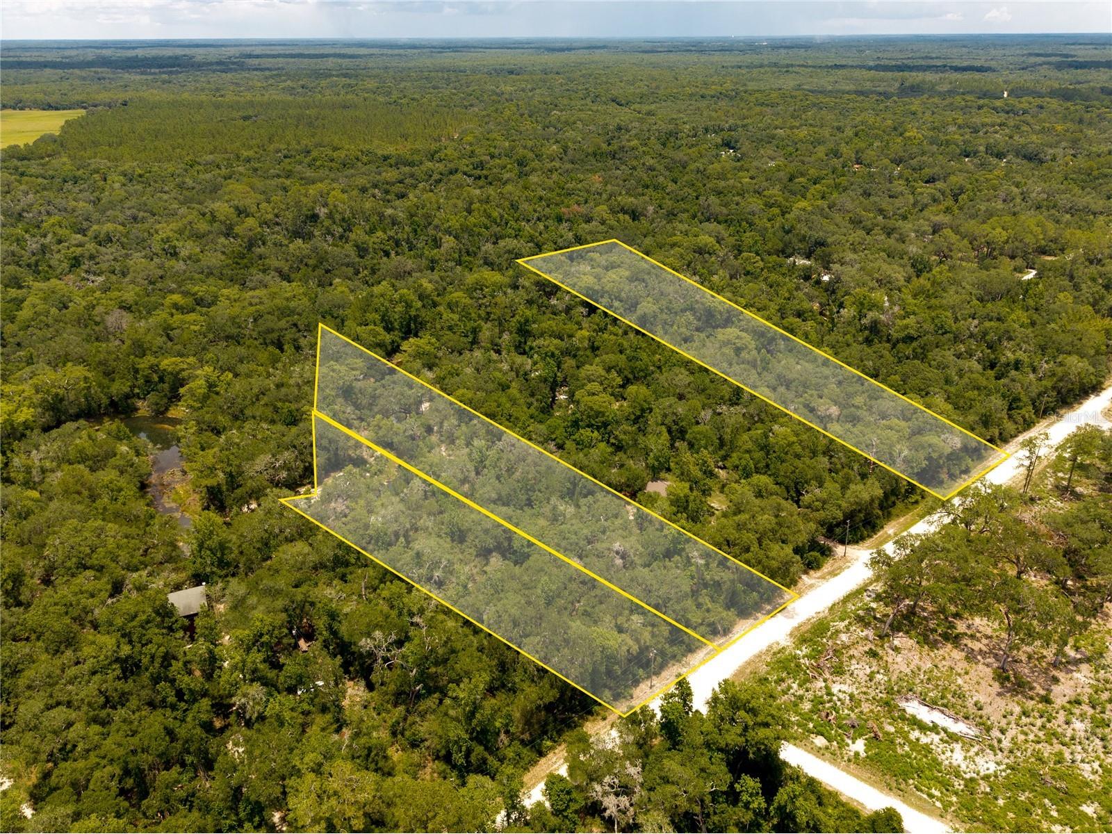 7337 Riverview Drive Webster FL 33597 W7886639 image2