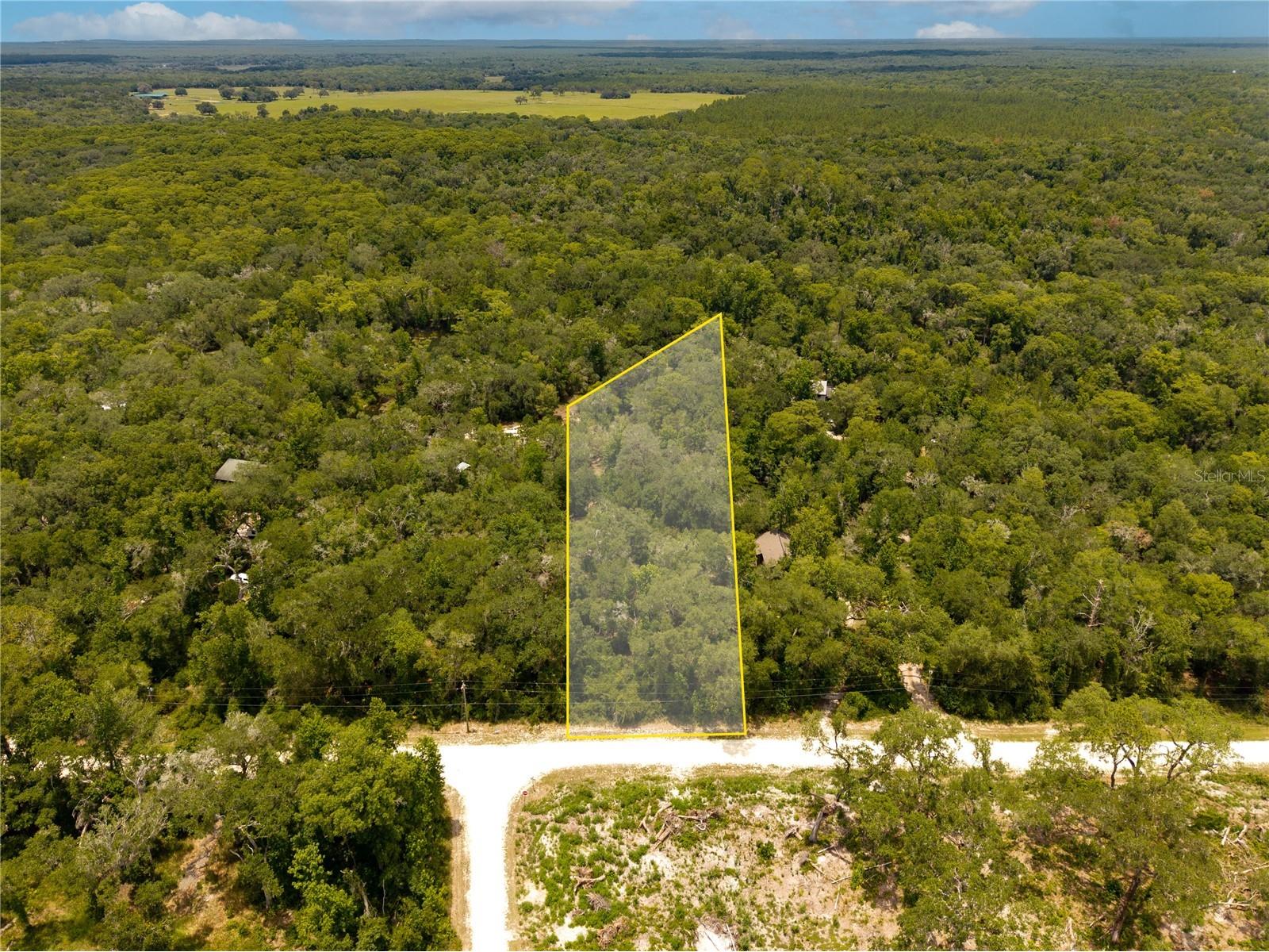 7337 Riverview Drive Webster FL 33597 W7886639 image4