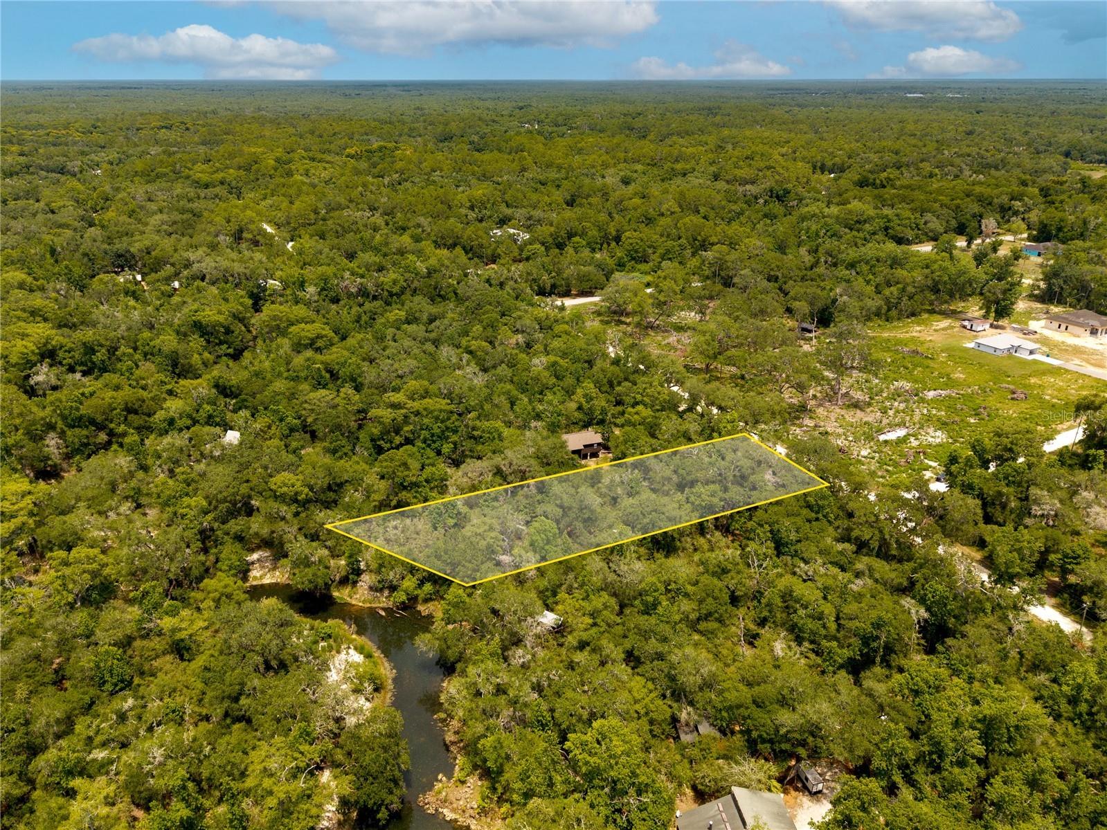 7337 Riverview Drive Webster FL 33597 W7886639 image5