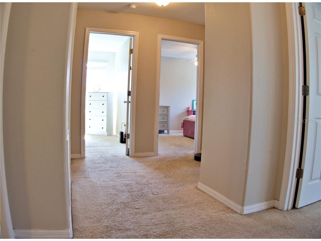 7338 Azalea Cove Circle Orlando FL 32807 O6326037 image17