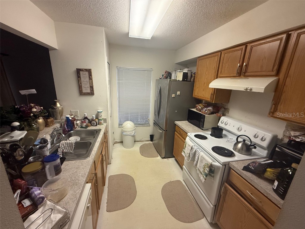 7338 E Bank Drive Tampa FL 33617 O6366249 image3