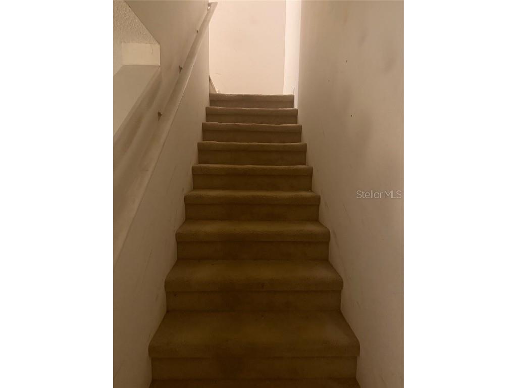 7338 E Bank Drive Tampa FL 33617 O6366249 image4