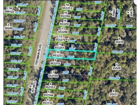 7338 Treiman Boulevard Webster FL 33597 O6235387 image3