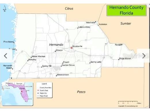 7338 Treiman Boulevard Webster FL 33597 O6235387 image5