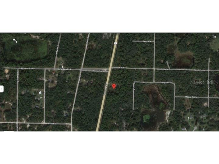 7338 Treiman Boulevard Webster FL 33597 O6235387 image6