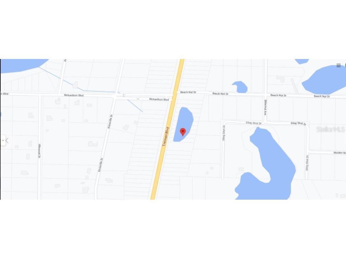 7338 Treiman Boulevard Webster FL 33597 O6235387 image7