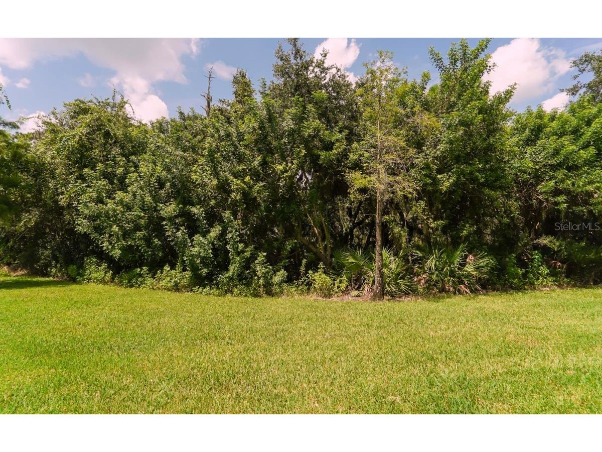 7339 Black Walnut Way Lakewood Ranch FL 34202 A4697053 image21
