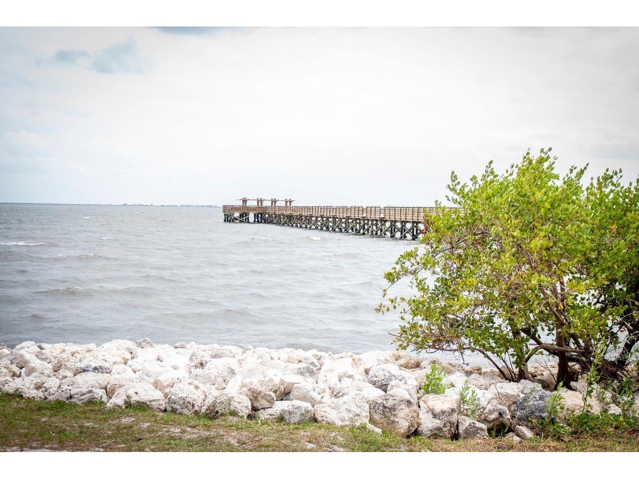 734 2nd Street N Safety Harbor FL 34695 TB8492478 image25
