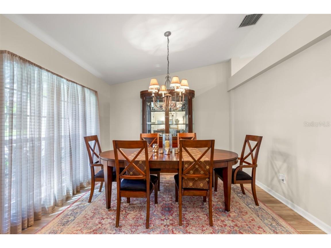 734 Berry Bramble Drive Brandon FL 33510 TB8460740 image11