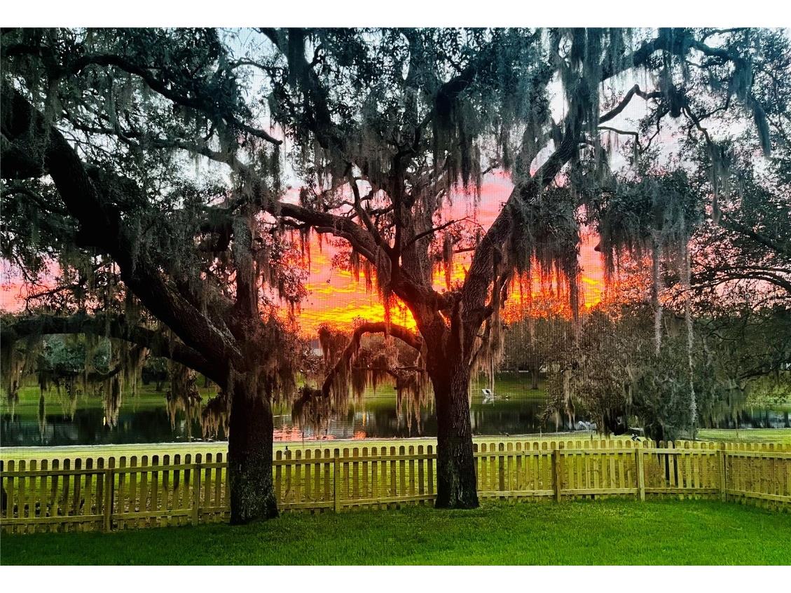 734 Berry Bramble Drive Brandon FL 33510 TB8460740 image19