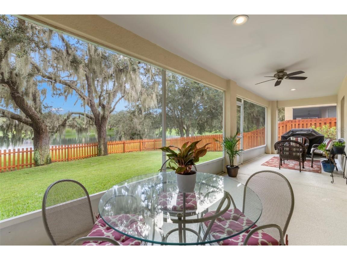 734 Berry Bramble Drive Brandon FL 33510 TB8460740 image20