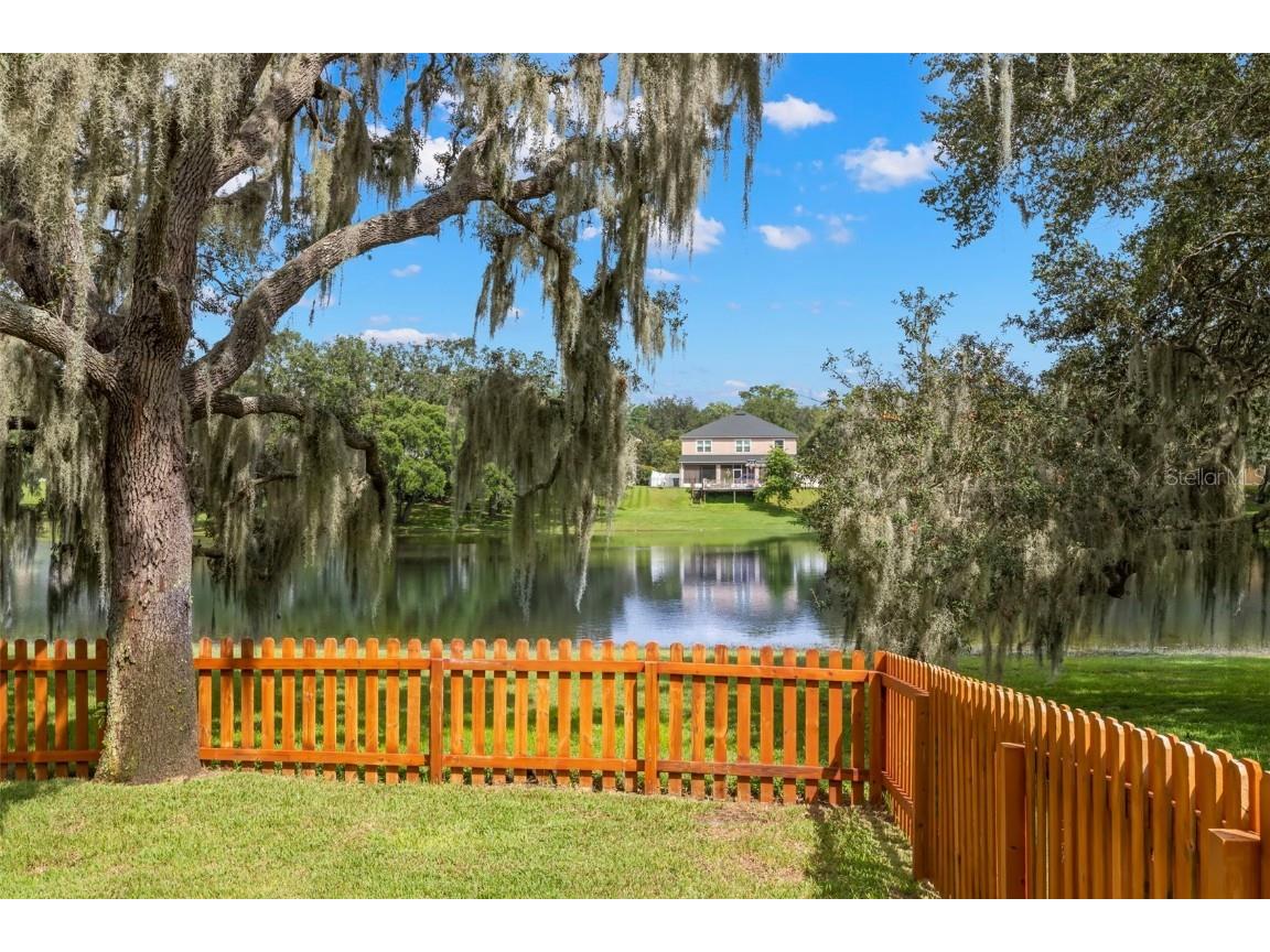 734 Berry Bramble Drive Brandon FL 33510 TB8460740 image23