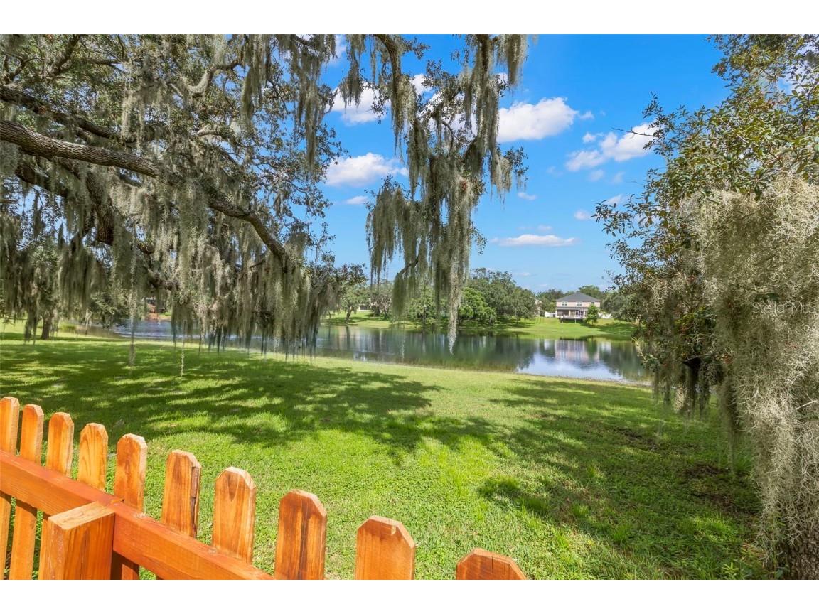 734 Berry Bramble Drive Brandon FL 33510 TB8460740 image25