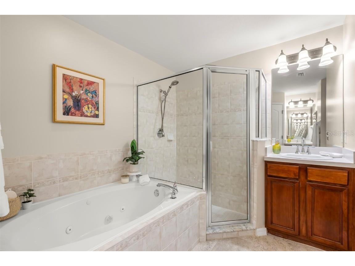 734 Berry Bramble Drive Brandon FL 33510 TB8460740 image33