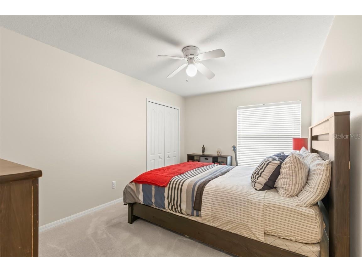 734 Berry Bramble Drive Brandon FL 33510 TB8460740 image36