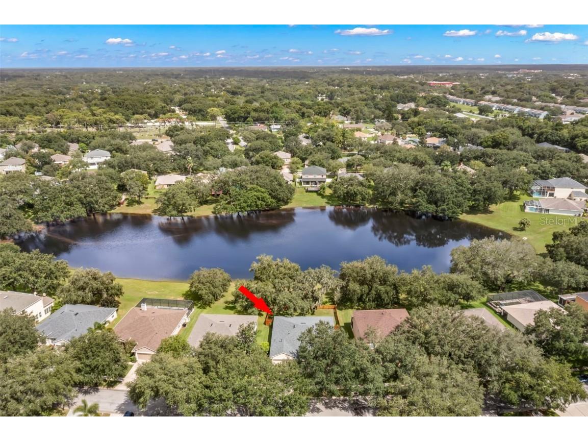 734 Berry Bramble Drive Brandon FL 33510 TB8460740 image43