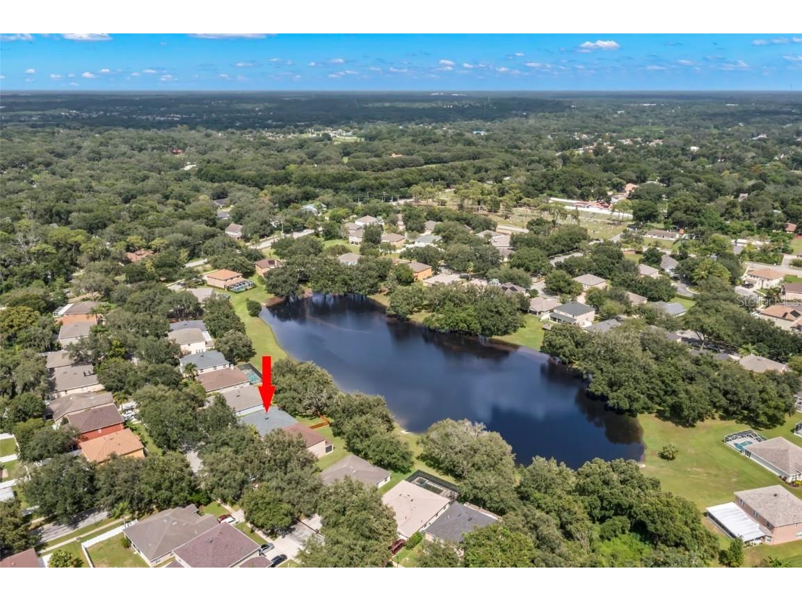 734 Berry Bramble Drive Brandon FL 33510 TB8460740 image44