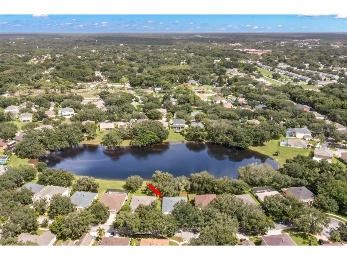 734 Berry Bramble Drive Brandon FL 33510 TB8460740 image45