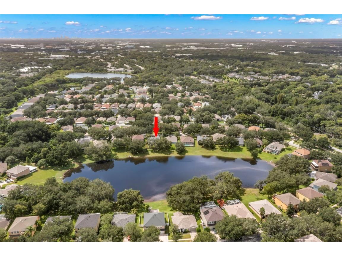 734 Berry Bramble Drive Brandon FL 33510 TB8460740 image47