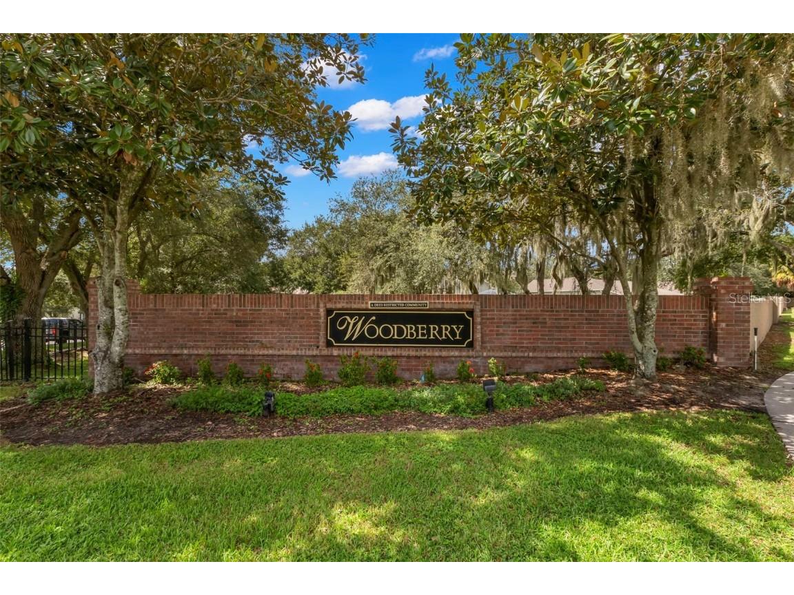 734 Berry Bramble Drive Brandon FL 33510 TB8460740 image48