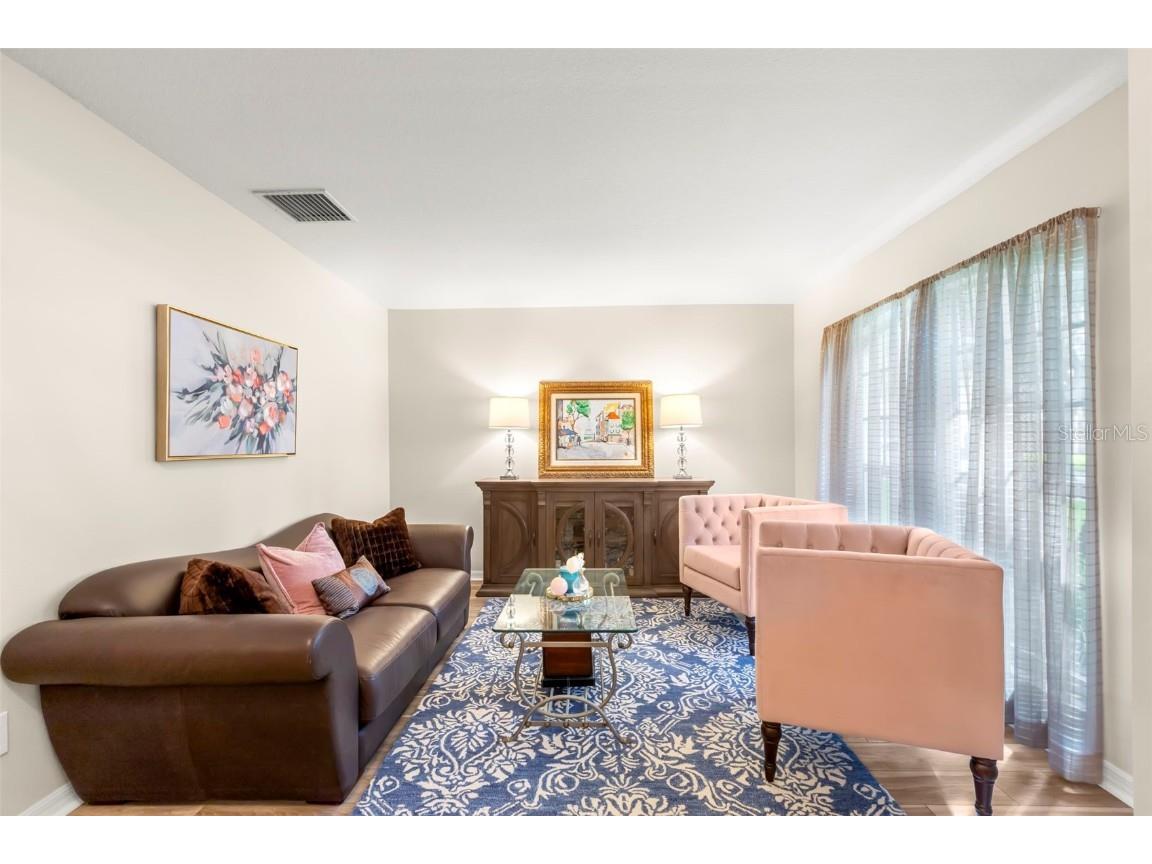 734 Berry Bramble Drive Brandon FL 33510 TB8460740 image8