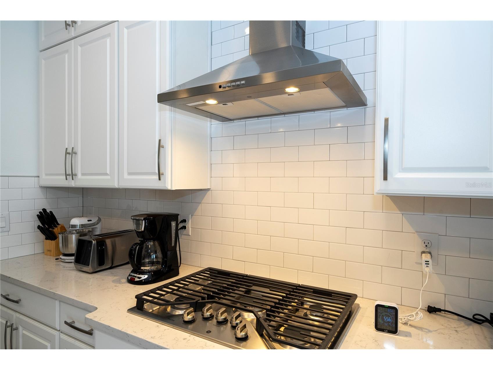 734 Creeping Fig Street Apopka FL 32703 - LAKE OPAL O6387411 image22
