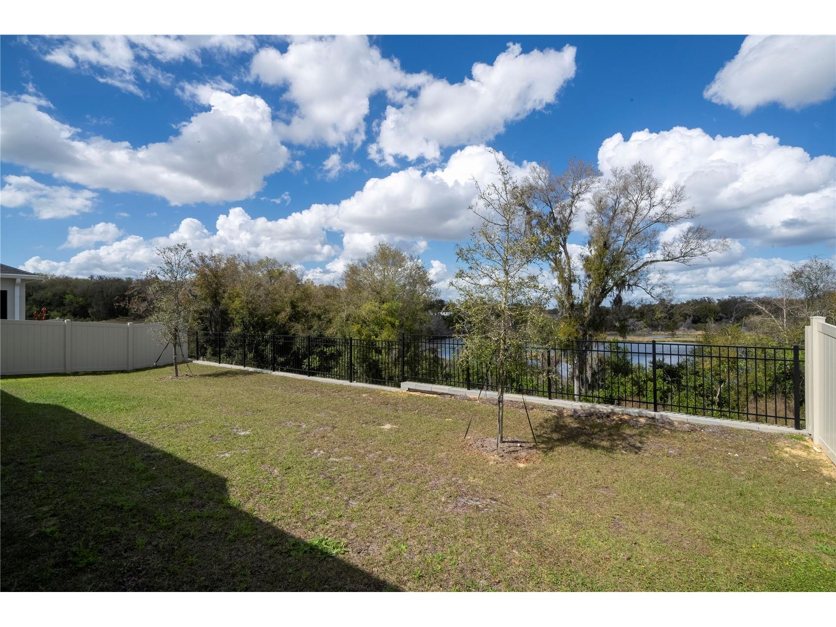 734 Creeping Fig Street Apopka FL 32703 - LAKE OPAL O6387411 image60