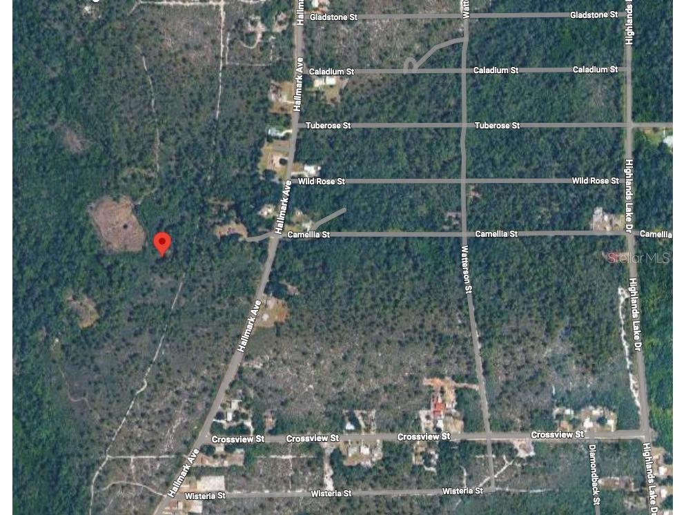 734 Dolphin Avenue Lake Placid FL 33852 O6406570 image2