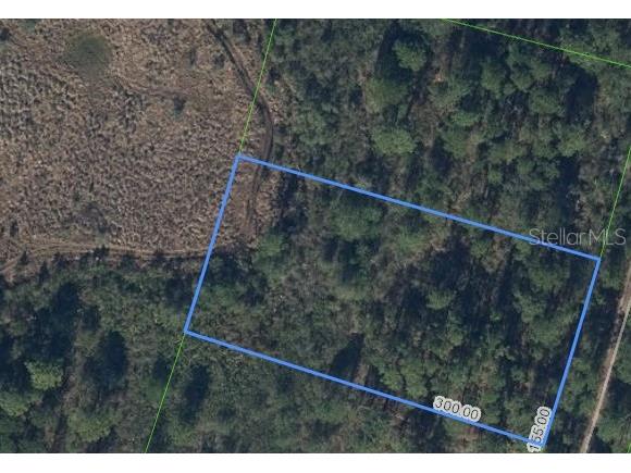 734 Dolphin Avenue Lake Placid FL 33852 O6406570 image3