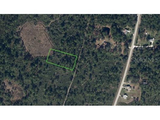 734 Dolphin Avenue Lake Placid FL 33852 O6406570 image4