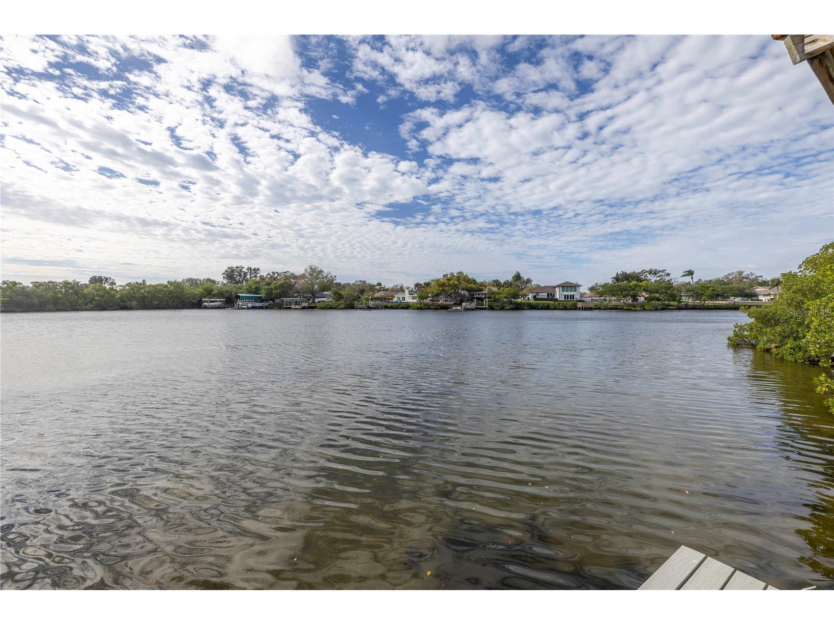 734 Weedon Drive NE Saint Petersburg FL 33702 - RIVIERA BAY TB8472716 image18