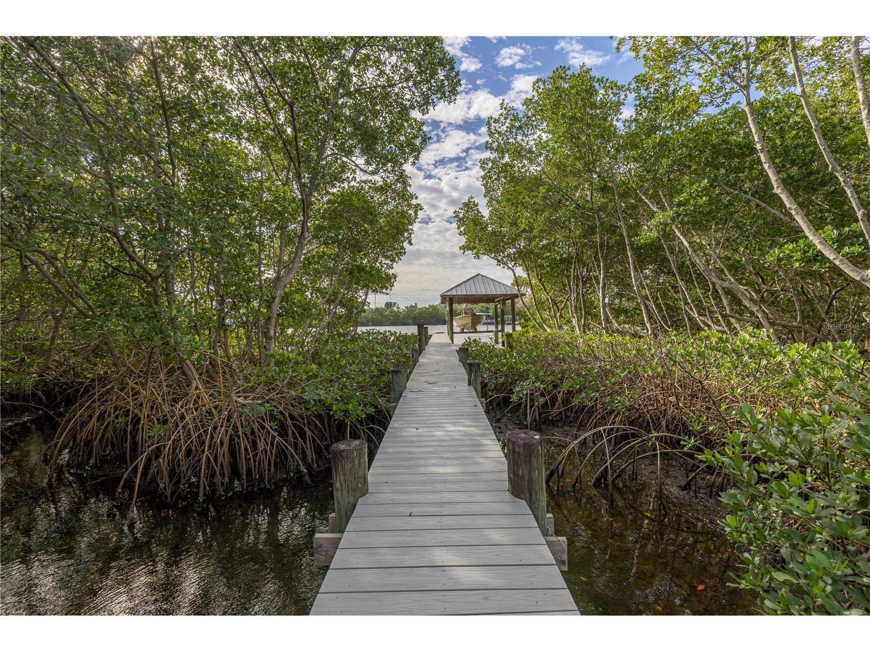 734 Weedon Drive NE Saint Petersburg FL 33702 - RIVIERA BAY TB8472753 image15