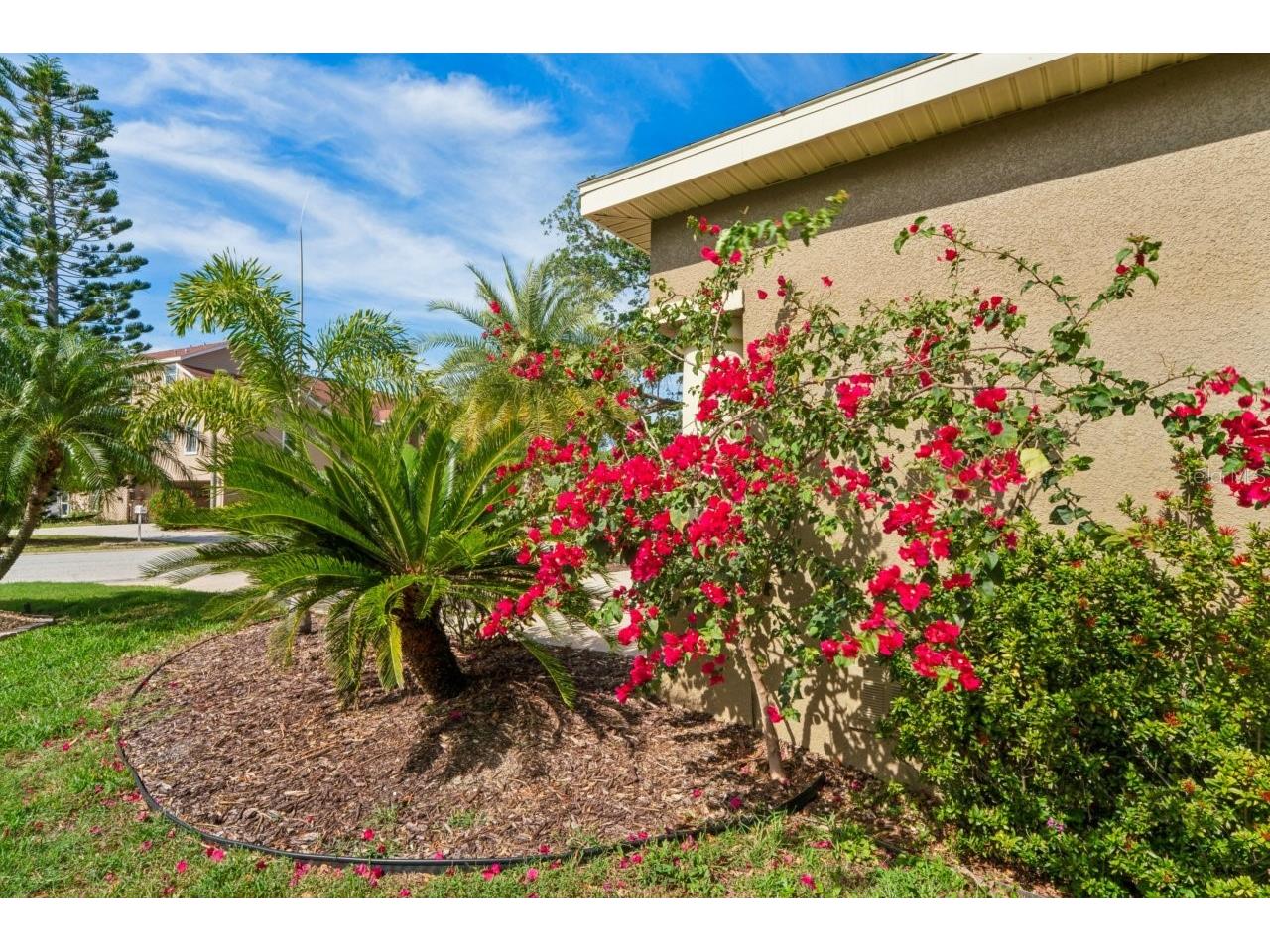7340 Brightwaters Court New Port Richey FL 34652 W7884907 image56