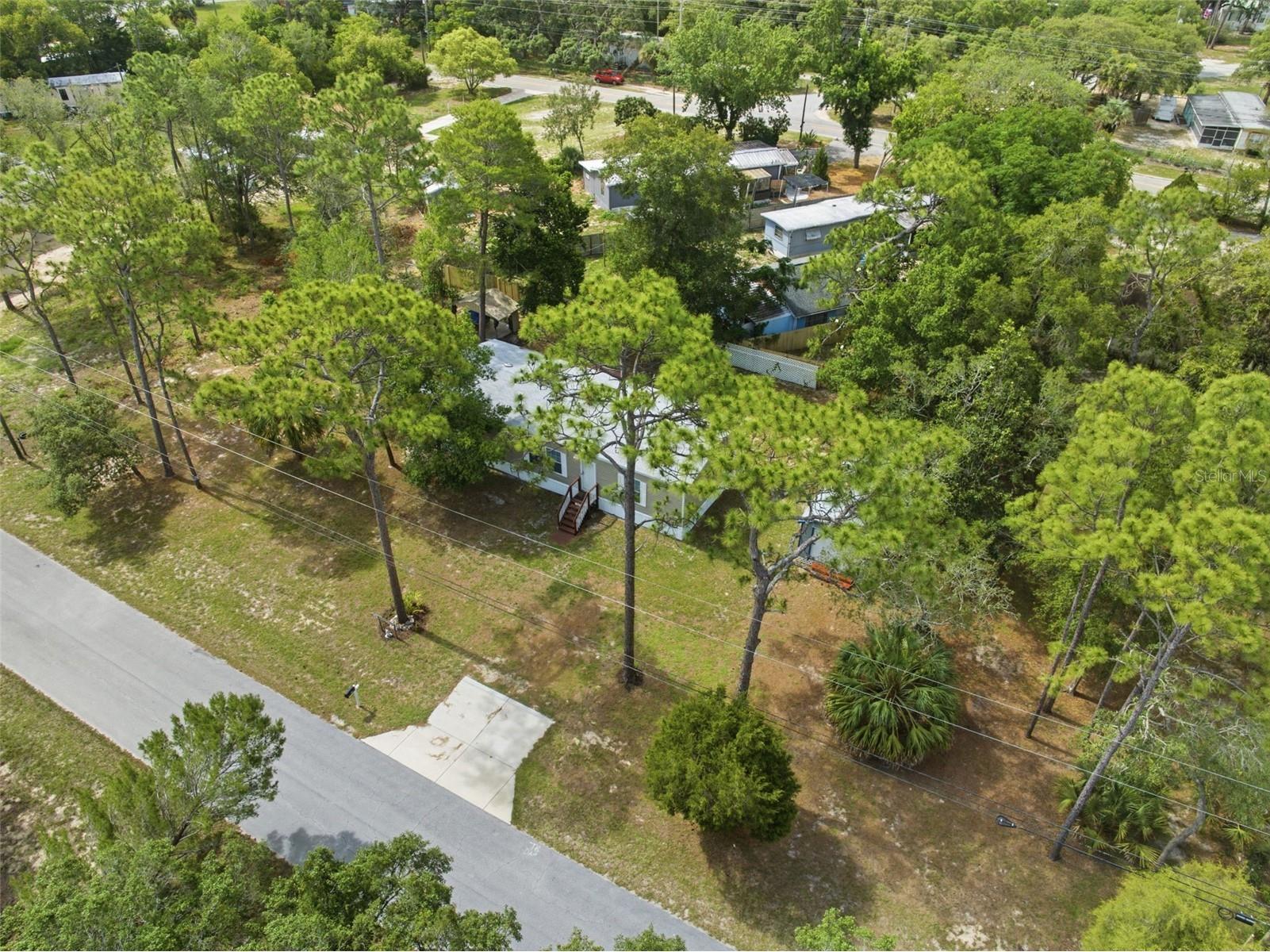 7340 Centerwood Avenue Spring Hill FL 34606 W7886293 image29